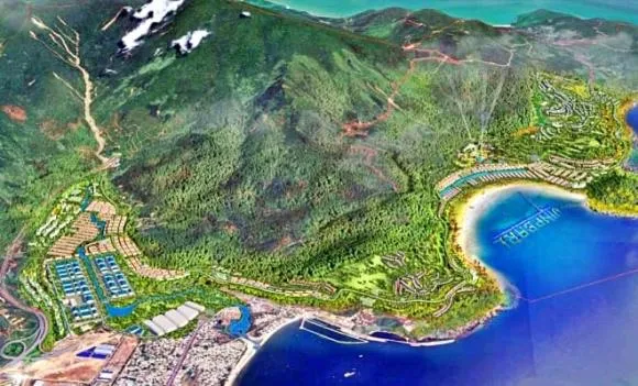 Các yếu tố thúc đẩy sự phát triển của thị trường